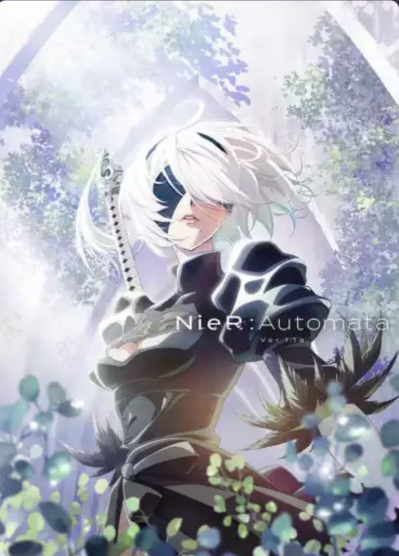 尼尔：自动人形 Ver1.1a (2023) 1080P 中日硬字幕