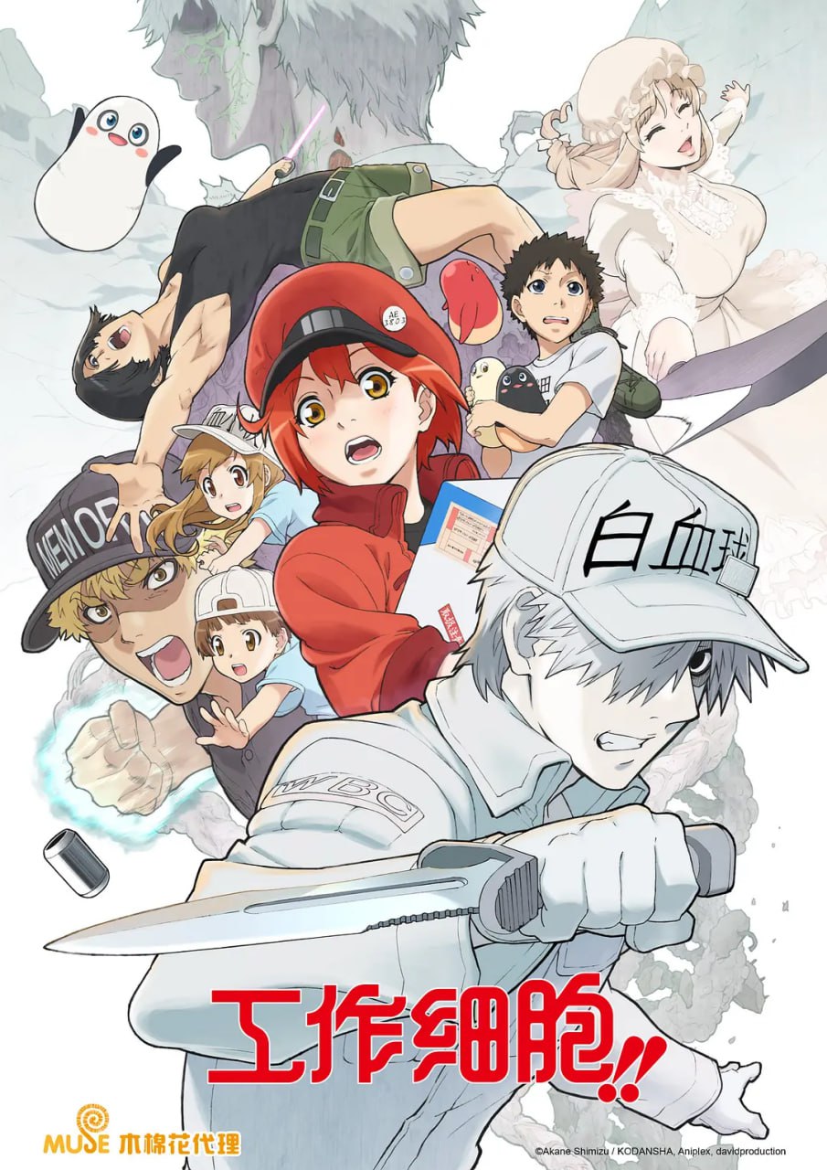 工作细胞 第二季 はたらく細胞!! (2021)