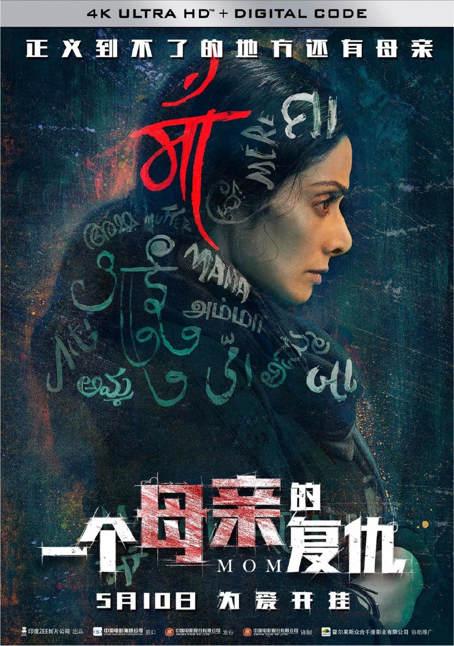 一个母亲的复仇 (2017) 4K 高码 国语印度语双音轨 中字硬字幕