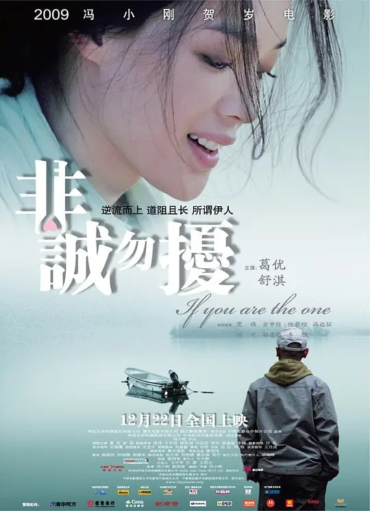 非诚勿扰 (2008) 4K