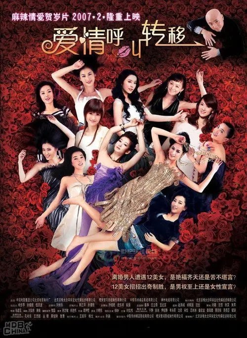 爱情呼叫转移 (2007) 1080i