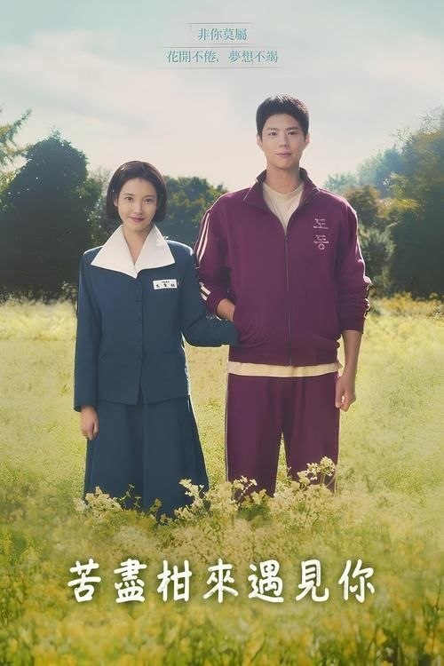 苦尽柑来遇见你 (2025) 4K HDR 杜比视界 全16集 内封简/繁韩双语特效字幕