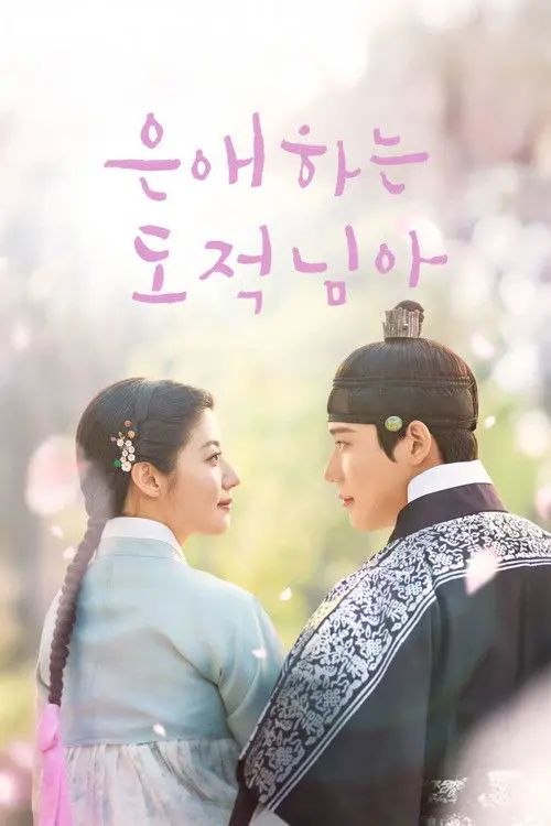 恩爱的盗贼大人 (2025) 1080P 全13集 内封简繁字幕