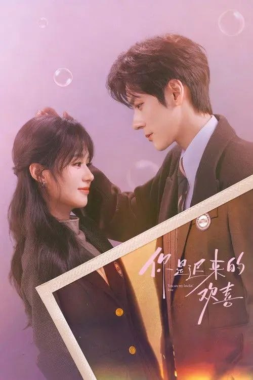 你是迟来的欢喜 (2026) 4K 全30集