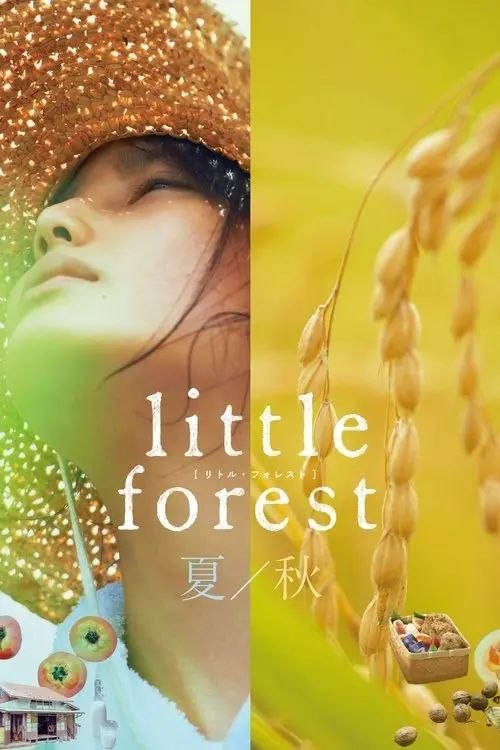 【原盘】小森林：夏秋篇 (2014) 1080P REMUX内封简繁字幕