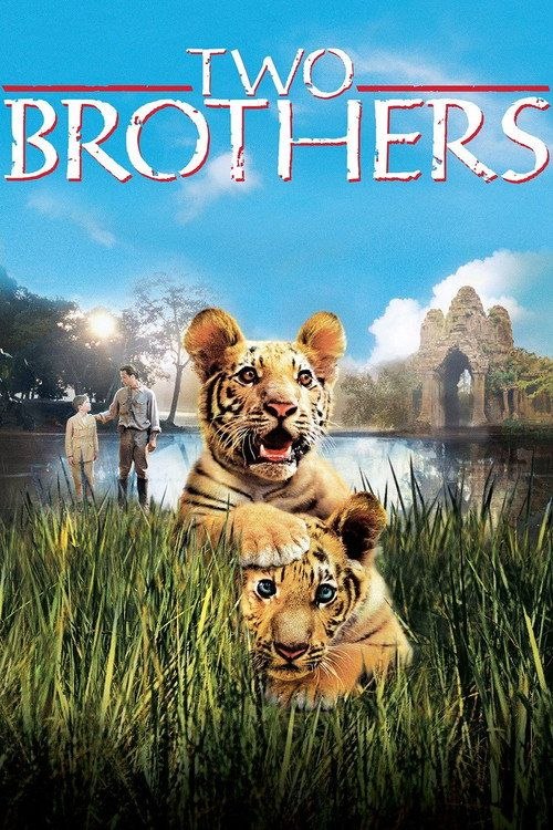 【原盘】虎兄虎弟 (2004) 1080P REMUX 内封简英双语字幕